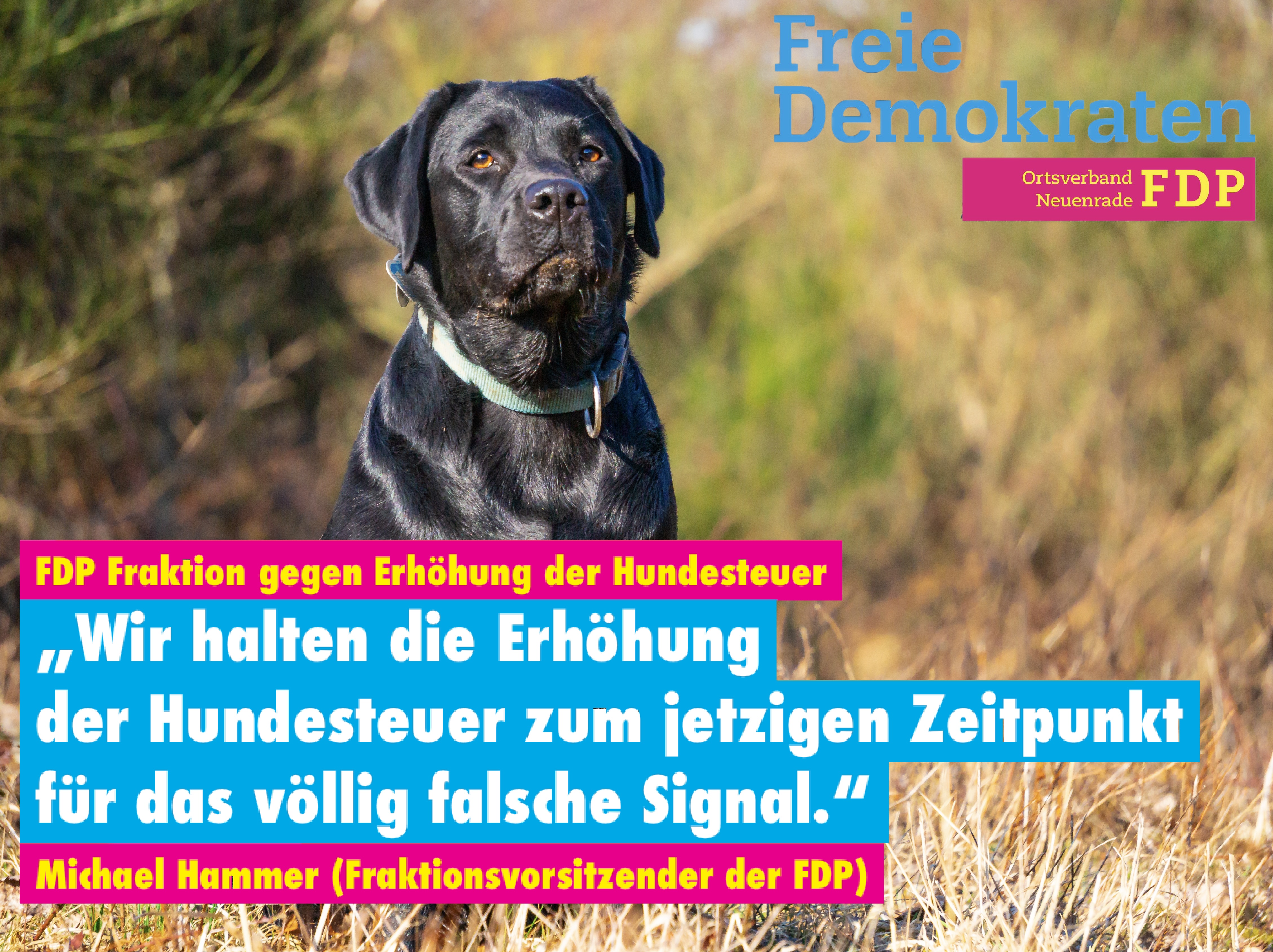 FDP Fraktion gegen Erhöhung der Hundesteuer