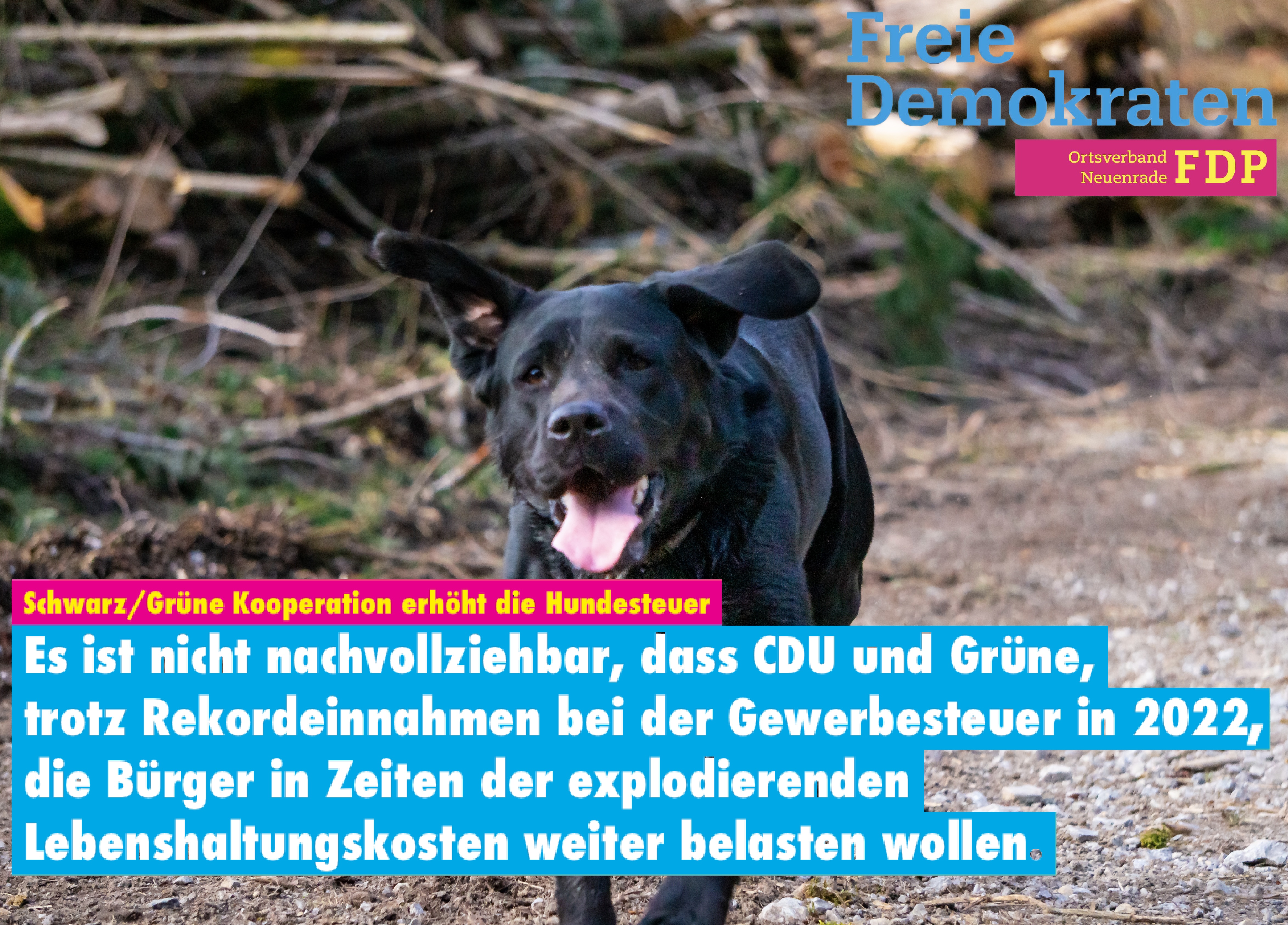 SCHWARZ/GRÜNE KOOPERATION ERHÖHT DIE HUNDESTEUER